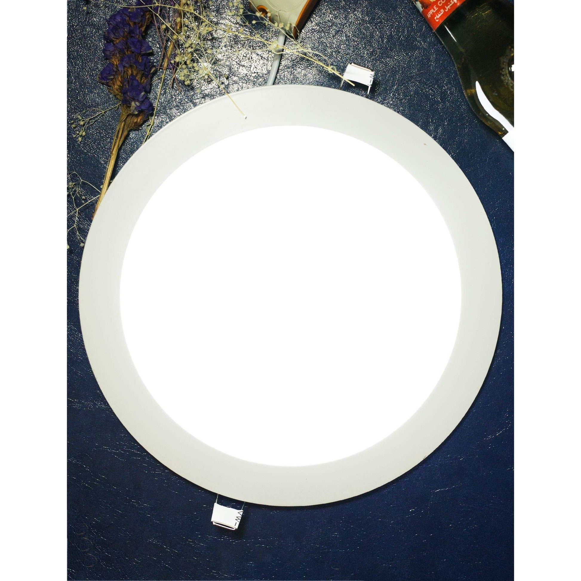 Max 20W 8-inch LED Ceiling Light Panel, Round Ultrathin, AC185-265V With Driver, Light Color Warm White) - Deluxe Electricals