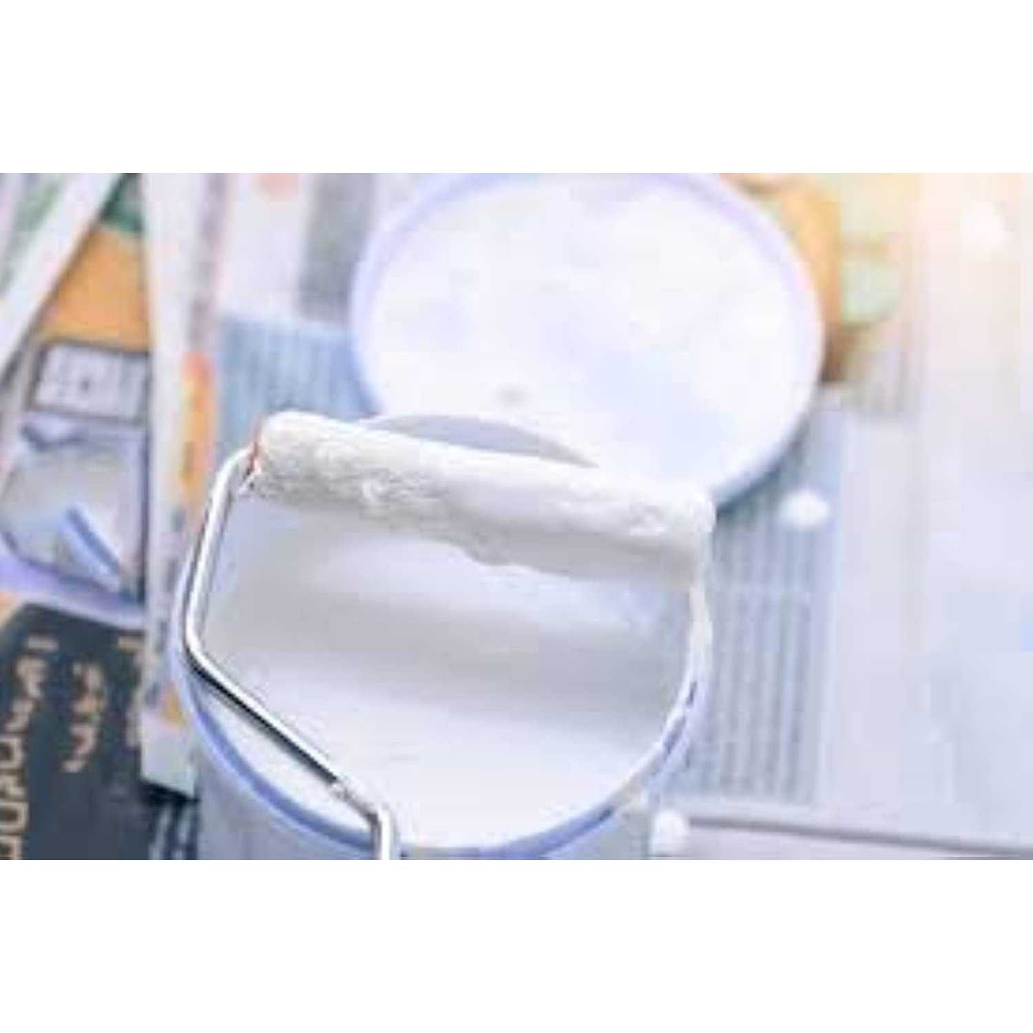 National Paint (800 White,3.6L, NP-800-3.6) - Deluxe Electricals