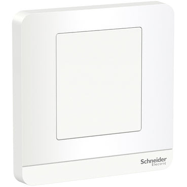 Schneider Electric E83554_WE 45A Fused Connection Schneider Electric