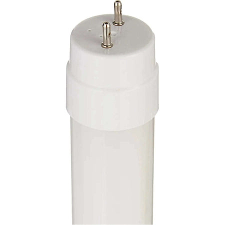 Philips LEDtube DE 600mm T8 G13 8W with white end-cap and two pins UAE