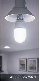 Osram LED Value Stick Lamp 12W E27 frosted bulb in a ceiling fixture, 4000K cool white. UAE