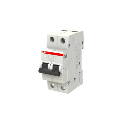ABB SH202-C32 MCB, 2-pole 32A Type C 6kA, official ABB product photo, angled view