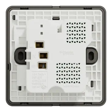 Schneider AvatarOn E8315DACUSB 21W USB Socket Schneider Electric