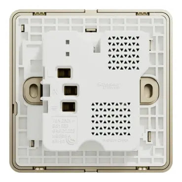 Schneider AvatarOn E8315DACUSB USB Socket Gold Schneider Electric