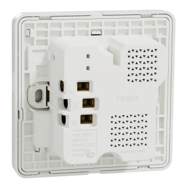 Schneider AvatarOn E8315DACUSB 21W USB Socket