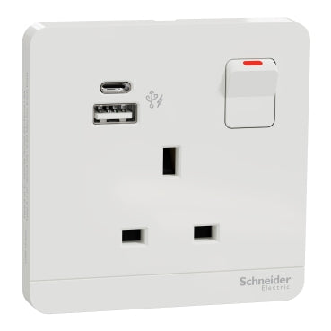 Schneider AvatarOn E8315DACUSB 21W USB Socket