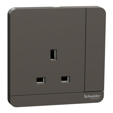 Schneider AvatarOn E8315D 13A 2P Switched Socket