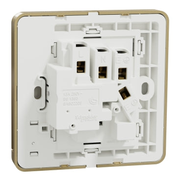 Schneider AvatarOn E8315D 13A Flush Socket
