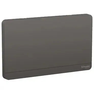 Schneider AvatarOn 2-Gang Blank Plate – Dark Grey (same finish family, official Schneider Electric image)