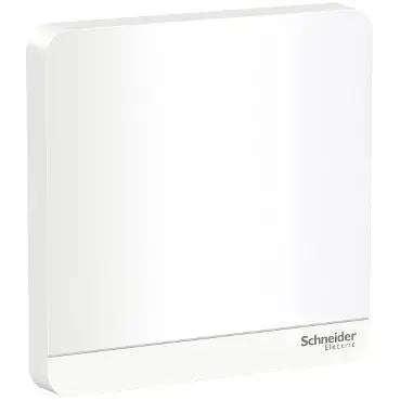 Schneider AvatarOn 1-Gang Blank Plate – White (same finish family, official Schneider Electric image)