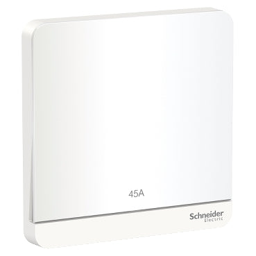 Schneider AvatarOn E8331D45N 45A 2P LED Switch, White