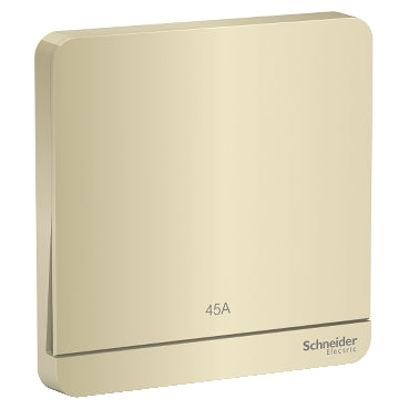 Schneider AvatarOn 45A 2P DP Switch Wine Gold E8331D45N
