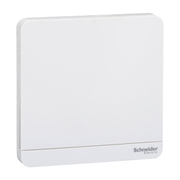 Schneider AvatarOn E8331M_WE 16AX Intermediate SW