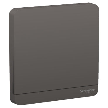 Schneider AvatarOn E8331PRL1 Time Delay Switch Grey