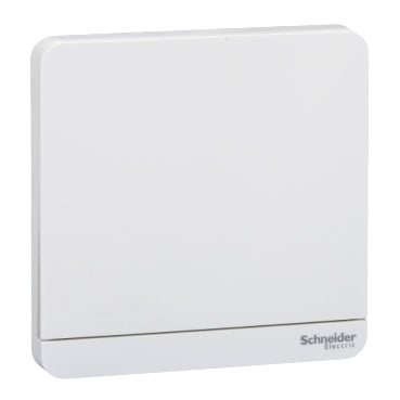 Schneider AvatarOn Time Delay Switch, White E8331PRL1