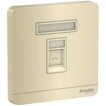 Schneider AvatarOn E8331RJS RJ45 Wallplate Wine Gold Schneider Electric