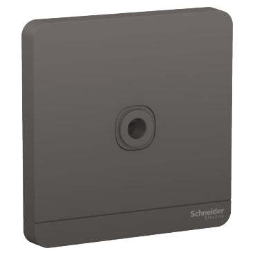 Schneider AvatarOn E8331TB 25A Fused Connection Unit