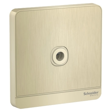 Schneider Electric E8331TB_GH 25A Fused Connection Unit