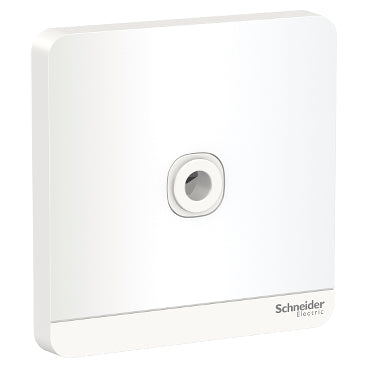 Schneider Electric E8331TB_WE 25A Fused Connection Unit