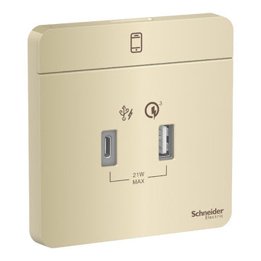 Schneider AvatarOn E8332 USB A+C Charger Wine Gold