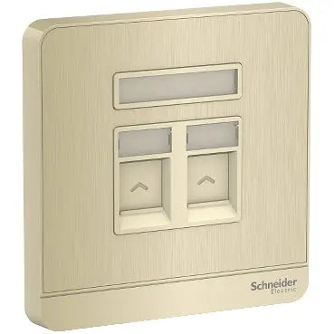 Schneider AvatarOn E8332RJS 2-Gang RJ45 Wallplate Schneider Electric