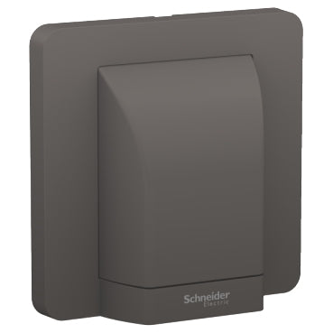 Schneider AvatarOn E83554 45A Fused Connection Unit