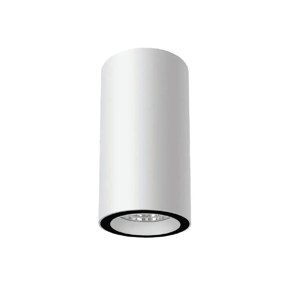 Tecnolight Lumina Surface cylinder LED downlight surface mounted on ceiling