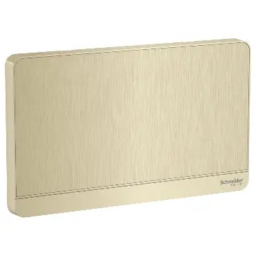 Schneider AvatarOn 2-Gang Blank Plate – Metal Gold Hairline (same finish family, official Schneider Electric image)