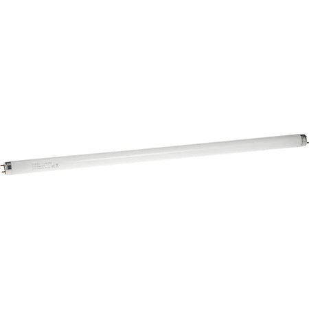 Osram Tube Light 2ft T8, 18W, white with end caps visible UAE