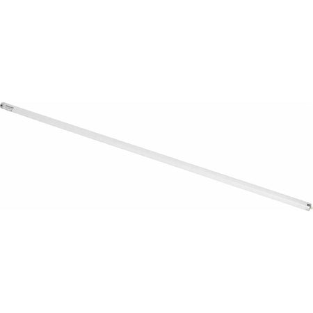 Philips TL-D 36W fluorescent tube, 4 ft, 54-765, diagonal view UAE